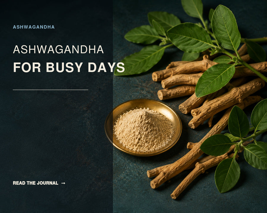 Why Every Busy Indian Professional Should Know About Ashwagandha