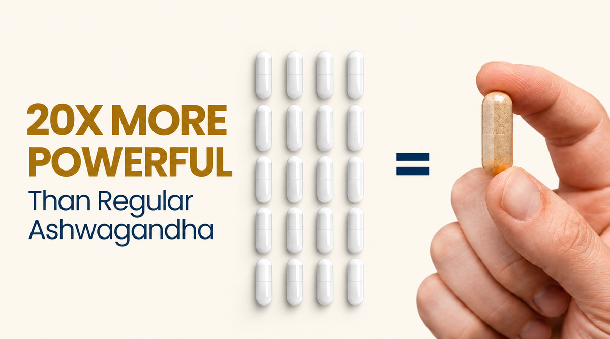 Support for the demands of daily life: stress support, calm and balance, and daily well-being.