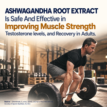 KSM-66 Ashwagandha — Energy & Mood Uplift