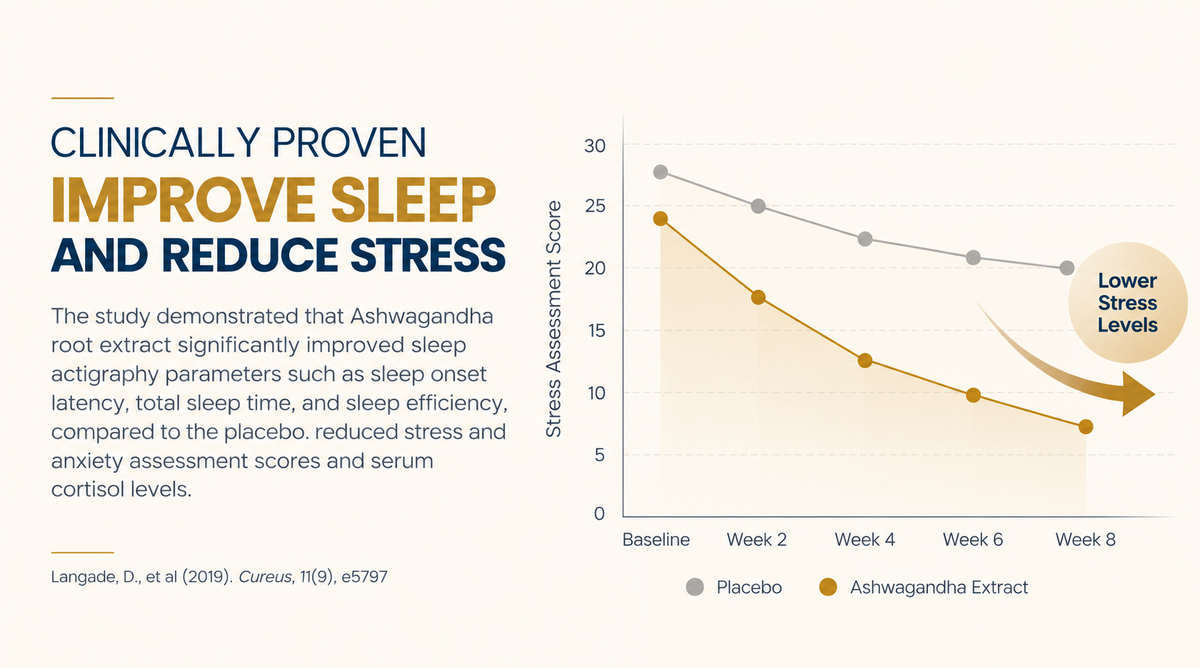 A focused formula. A simple routine. KSM-66 root extract and everyday consistency.