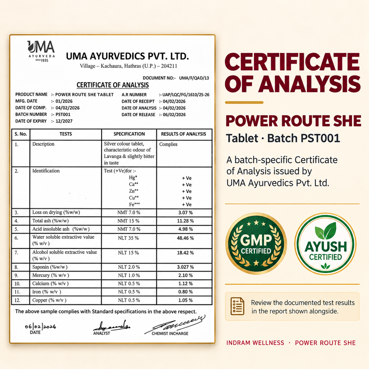 Power Route SHE — Cycle Comfort & Radiance