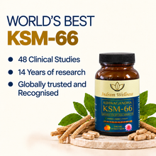KSM-66 Ashwagandha — Energy & Mood Uplift